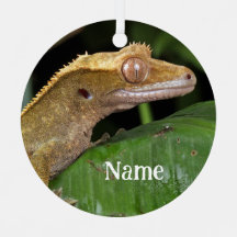 Gecko Lizard personalizado