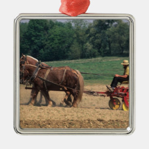 Adorno Metálico Gente sencilla del país Amish en la agricultura co