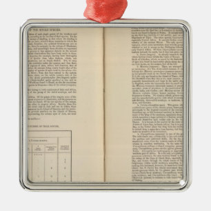 Adorno Metálico Geografía zoológica continua