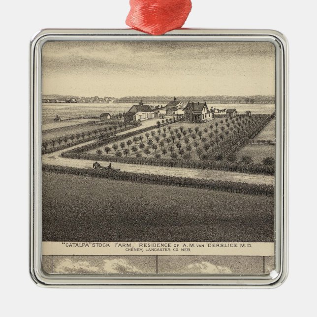 Adorno Metálico Gibson, Nebraska (Frente)