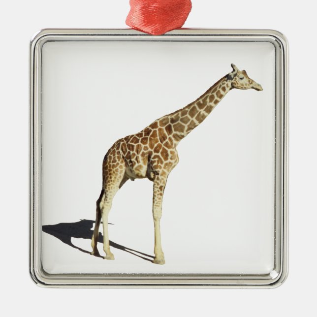 Adorno Metálico Giraffe (Frente)