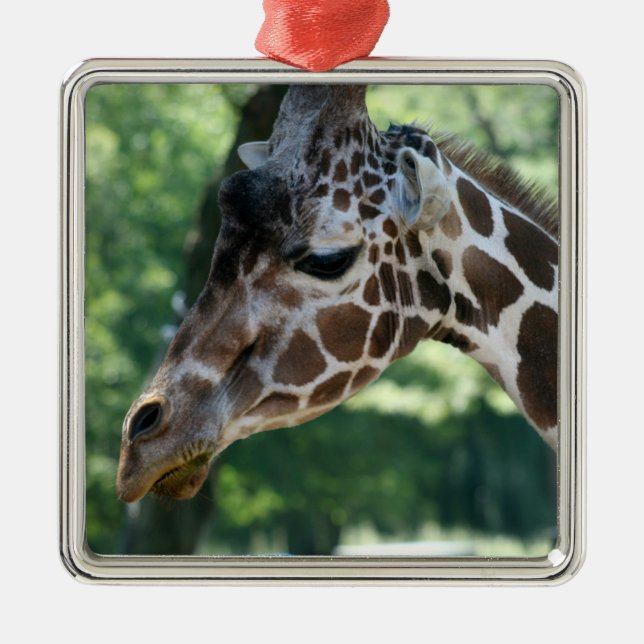 Adorno Metálico Giraffe Ornament (Frente)