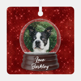 Adorno Metálico Globe de nieve de Personalizado cutto Mascota