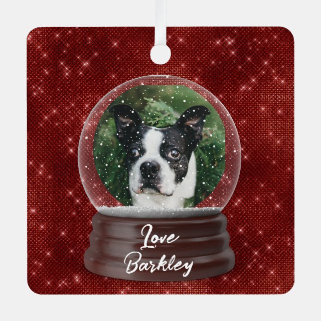 Adorno Metálico Globe de nieve de Personalizado cutto Mascota (Anverso)