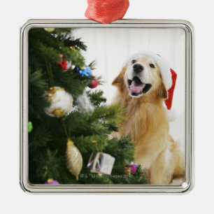 Adorno Metálico Golden retriever que mira el árbol de navidad