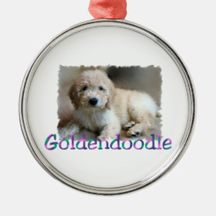 Adorno Metálico Goldendoodle Art