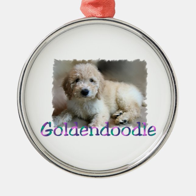 Adorno Metálico Goldendoodle Art (Frente)