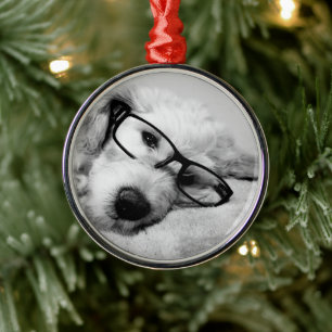 Adorno Metálico Goldendoodle con vidrio