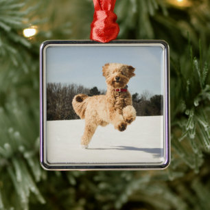 Adorno Metálico Goldendoodle corriendo por campo