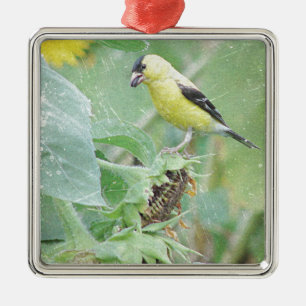 Adorno Metálico Goldfinch Grunge