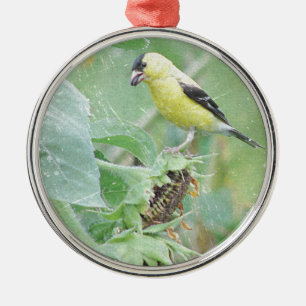 Adorno Metálico Goldfinch Grunge