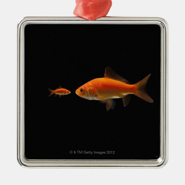Adorno Metálico Goldfish (Frente)