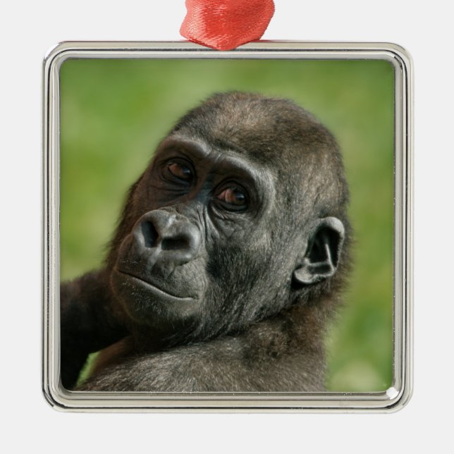 Adorno Metálico Gorilla Youngster (Frente)