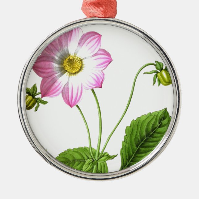 Adorno Metálico Gracia (Frente)