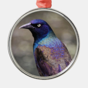 Adorno Metálico Grackle común