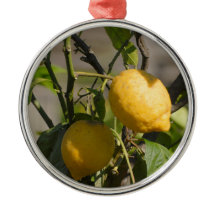 Gráficos limones españoles