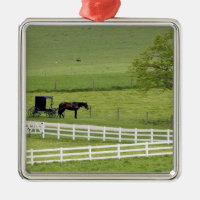 granja Amish con caballo y carruaje cerca de Berlí