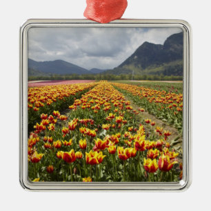 Adorno Metálico Granja de tulipanes cerca de Agassiz, Columbia Bri