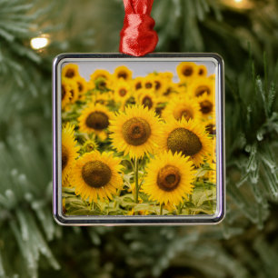 Adorno Metálico Granjas   Un Campo De Girasol