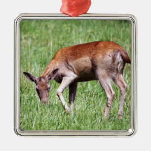 Adorno Metálico Grazing Deer