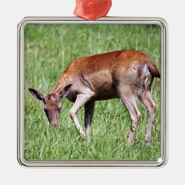 Adorno Metálico Grazing Deer (Frente)