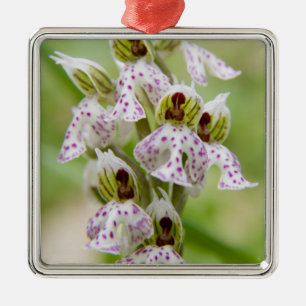 Adorno Metálico Grecia, Creta. Orquídea en flor Orchis