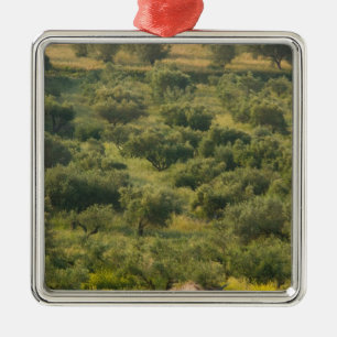 Adorno Metálico GRECIA, Islas Jónicas, KEFALONIA, Havriata: