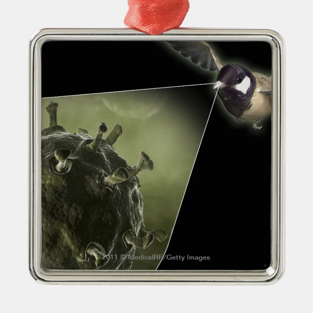 Adorno Metálico Gripe aviar que sale del pájaro (Frente)