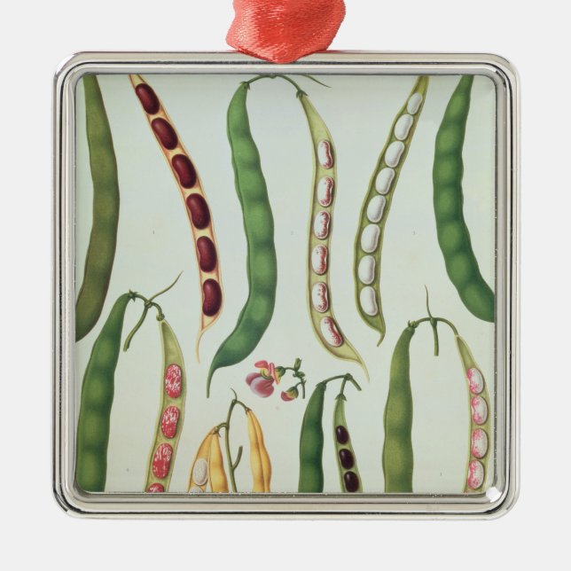 Adorno Metálico Habas (Frente)