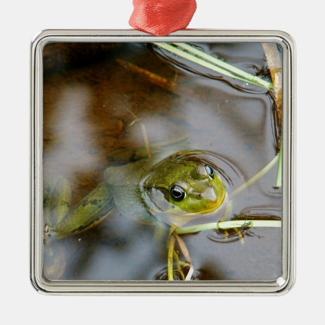 Adorno Metálico Hacia fuera para un poco de aire fresco (Frente)