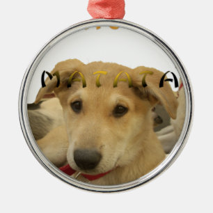 Adorno Metálico Hakuna Matata Sé lo que estás pensando pinctur