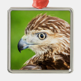 Adorno Metálico Halcón de cola roja juvenil