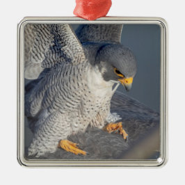 Adorno Metálico Halcón Peregrino a lo largo del río Hudson