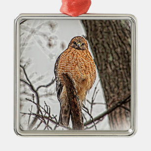 Adorno Metálico Halcón rojo con hombro en un árbol