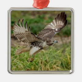 Adorno Metálico Halcón rojo inmaduro