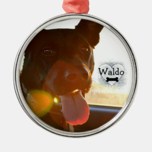 Adorno Metálico HAMbyWG - Ornament - Memento