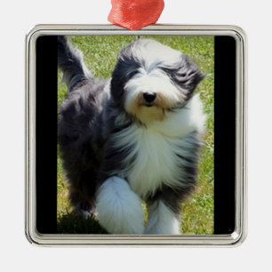 ADORNO METÁLICO HAPPY SHEEPDOG CHRISTMAS ORNAMENT