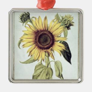 Adorno Metálico Helianthus annuus de 'Velins du Roi Vol.36'