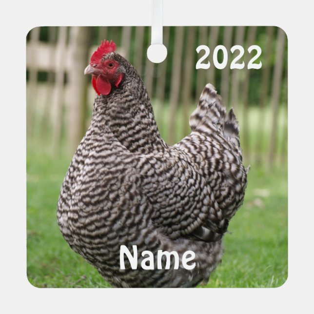 Adorno Metálico Hen de rock comercial personalizado - Pollo Mascot (Anverso)