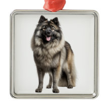 HERMOSA FLUFFY KEESHOND PUPPY DOG