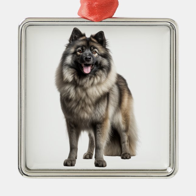 ADORNO METÁLICO HERMOSA FLUFFY KEESHOND PUPPY DOG (Frente)