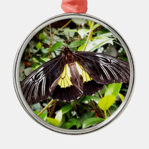 Adorno Metálico hermosa mariposa amarilla negra fotografía
