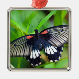 Adorno Metálico Hermosa mariposa negra, blanca y roja