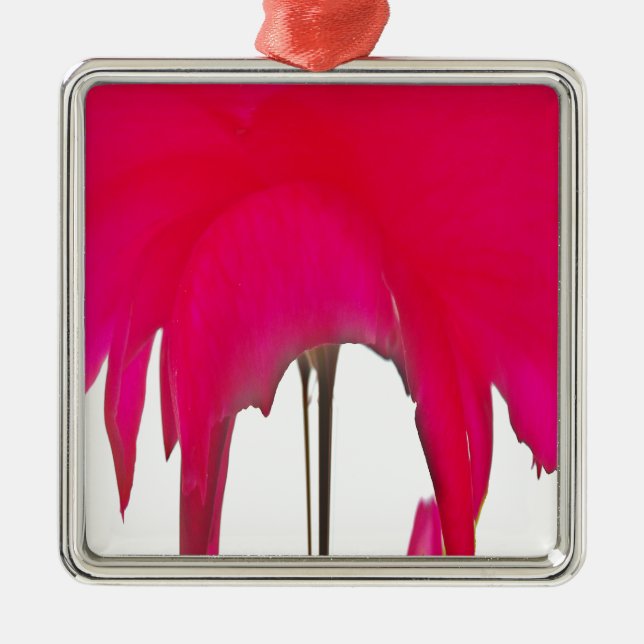 Adorno Metálico Hermosa rosa roja asombrosa bajo el cielo blanco (Frente)