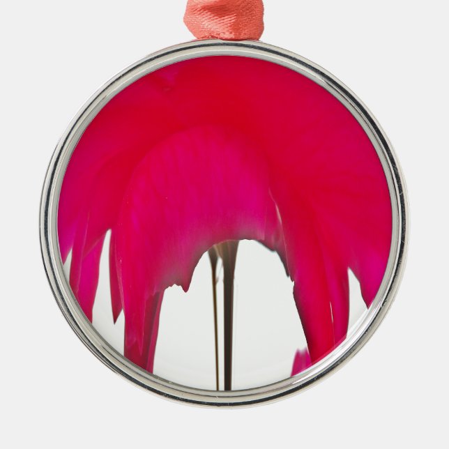 Adorno Metálico Hermosa rosa roja asombrosa bajo el cielo blanco (Frente)