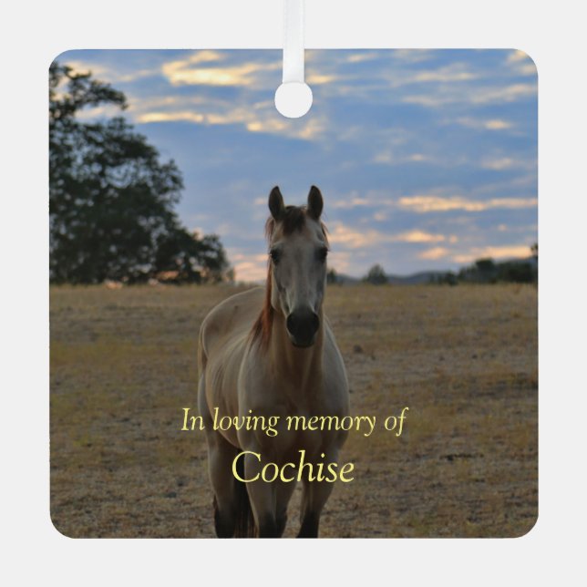 Adorno Metálico Hermosa simpatía por caballos, Personalizado conme (Anverso)