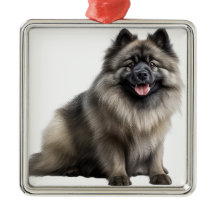 HERMOSO CACHORRO DE KEESHOND ESponjoso