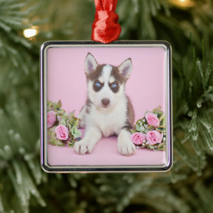Adorno Metálico Hermoso cachorro humilde con rosas rosas rosas