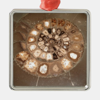 Adorno Metálico Hermoso fósil amnita Dactylioceras seccionado