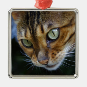 Adorno Metálico Hermoso gato bengalí